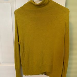 Aritzia Cyprie Wool sweater